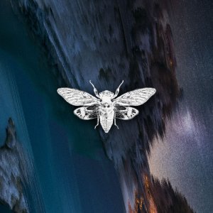 Acrobatik, Idyllic — Cypher