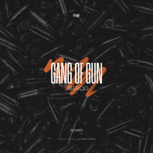 Libercio, Slowed — Gang of Gun