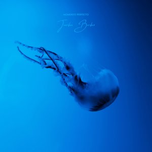 Jourdan Bordes — Momento Perfecto